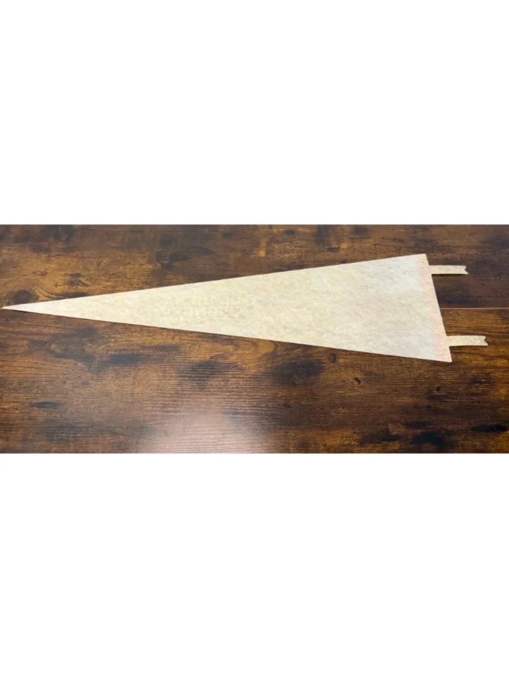 Vintage Aquarena Springs San Marcos Texas Souvenir Pennant 25 inches